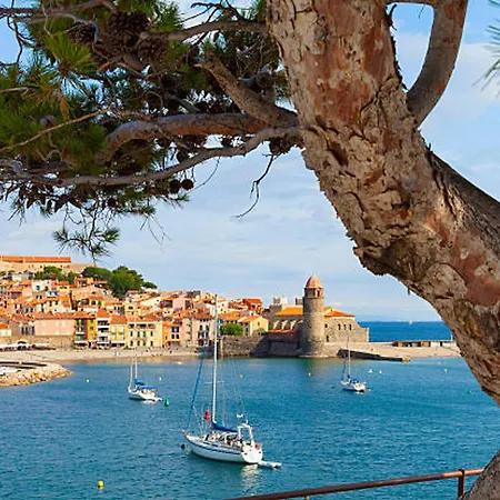 Moderne Climatise En Bord De A Canet, Animaux Admis, Parking Inclus - Fr-1-732-93 Canet-en-Roussillon